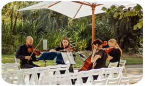 Melba Strings outdoors