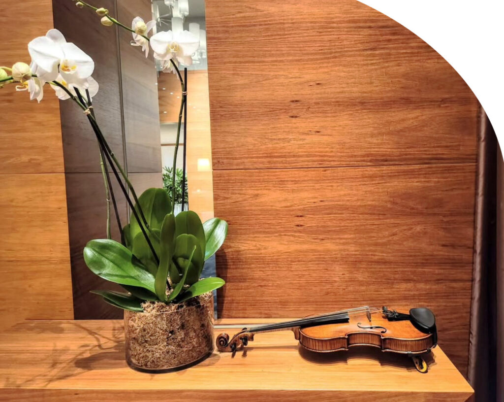 Melba Strings violin